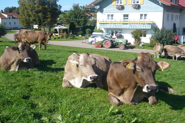Foto van bij de Hehlehof||Oberreute - Vakantiehuis in Oberreute - Untagged