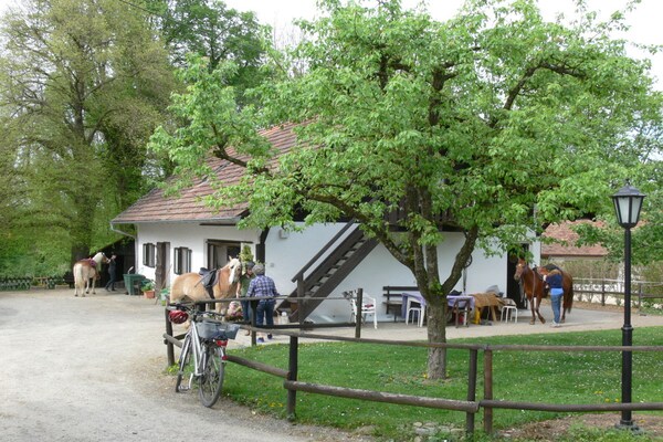 Foto van Birkenhof-Trepte - Vakantiehuis in Uhldingen-Mühlhofen - Untagged