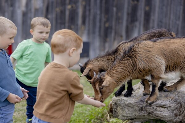 Foto van Boerderij in Colmberg met zwembad - Vakantiehuis in Colmberg - Untagged