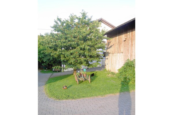 Foto van Boerderij met 2 slaapkamers - Vakantiehuis in Stachesried - Untagged