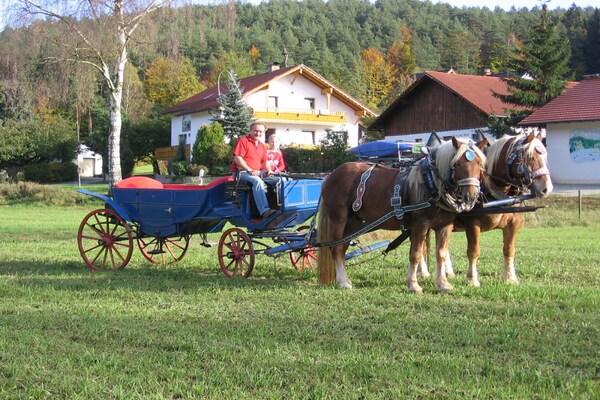 Foto van B Vakantie en paardenboerderij Zankl - Vakantiehuis in Miltach - Untagged