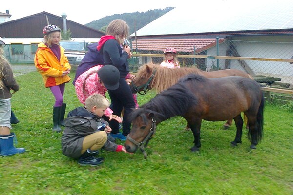 Foto van B Vakantie en paardenboerderij Zankl - Vakantiehuis in Miltach - Untagged