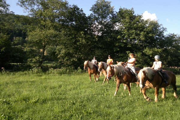 Foto van B Vakantie en paardenboerderij Zankl - Vakantiehuis in Miltach - Untagged