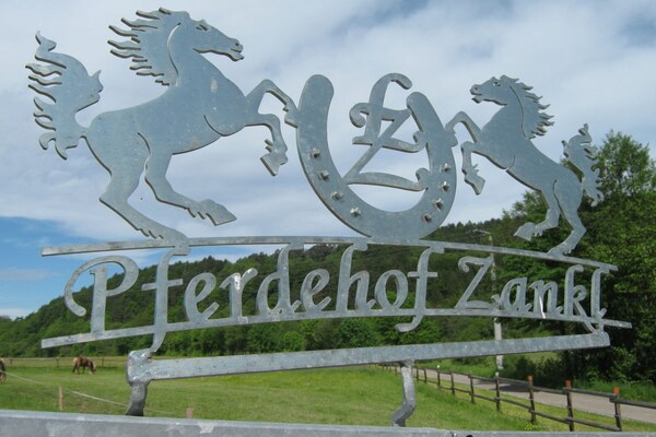 Foto van B Vakantie en paardenboerderij Zankl - Vakantiehuis in Miltach - Untagged