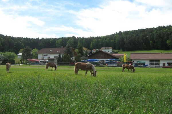 Foto van B Vakantie en paardenboerderij Zankl - Vakantiehuis in Miltach - Untagged