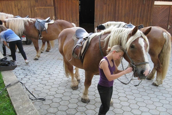 Foto van B Vakantie en paardenboerderij Zankl - Vakantiehuis in Miltach - Untagged