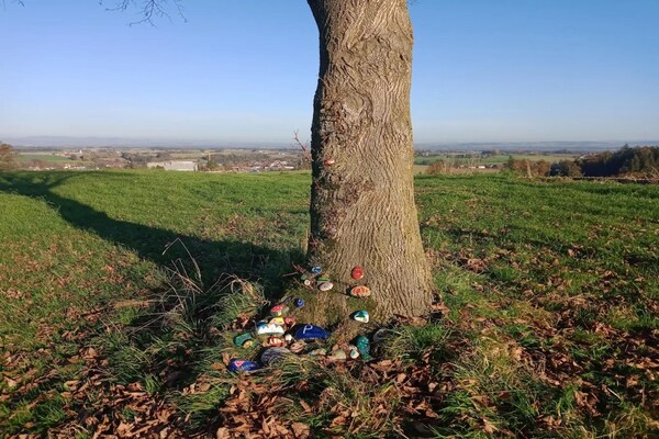 Foto van Appartement in Rotthalmünster met tuin - Vakantiehuis in Rotthalmünster - AreaSummer5KM