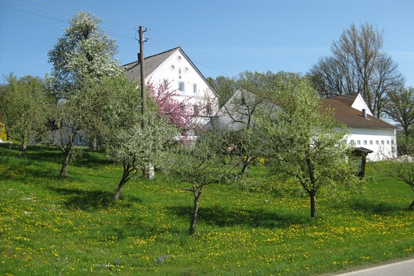 Foto van Appartement in Rotthalmünster met tuin - Vakantiehuis in Rotthalmünster - ExteriorSummer