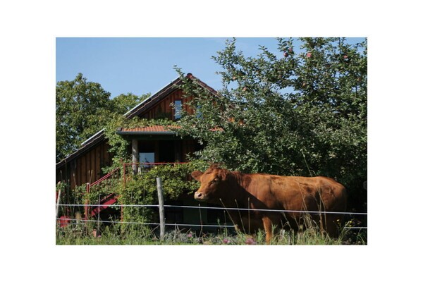 Foto van Blauwe paalwoning - Vakantiehuis in Kösslarn - Untagged