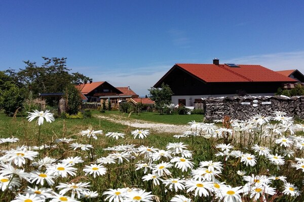Foto van Bij Wartner - Luxe Chalet - Vakantiehuis in Teisnach - Untagged