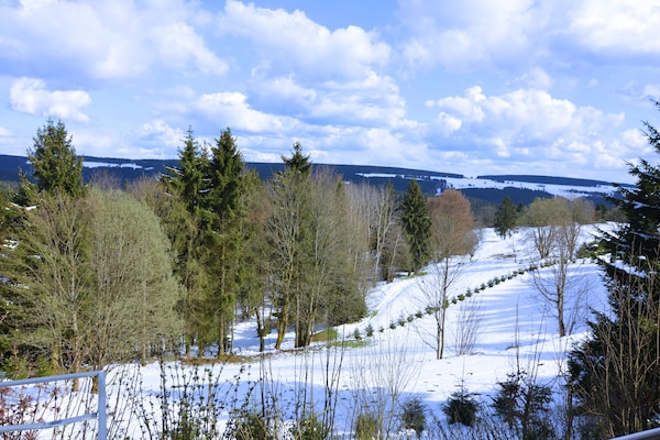 Foto van Ski- en wandelvakantie in het bos in Adlerblick - Vakantiehuis in Schnett - ViewWinter