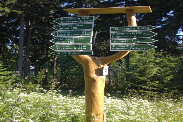 Foto van Ski- en wandelvakantie in het bos in Adlerblick - Vakantiehuis in Schnett - AreaSummer1KM