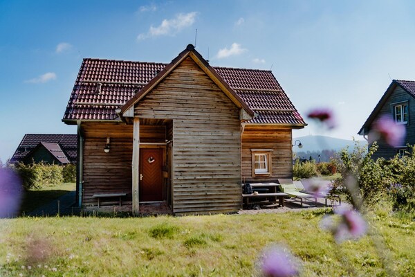 Foto van Vakantiehuizen, turfhuis - Vakantiehuis in Torfhaus - ExteriorSummer