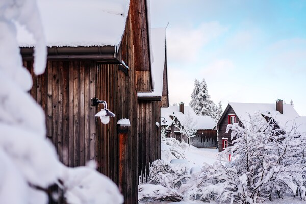 Foto van Twee-onder-een-kapwoningen, turfhuis - Vakantiehuis in Torfhaus - ExteriorWinter