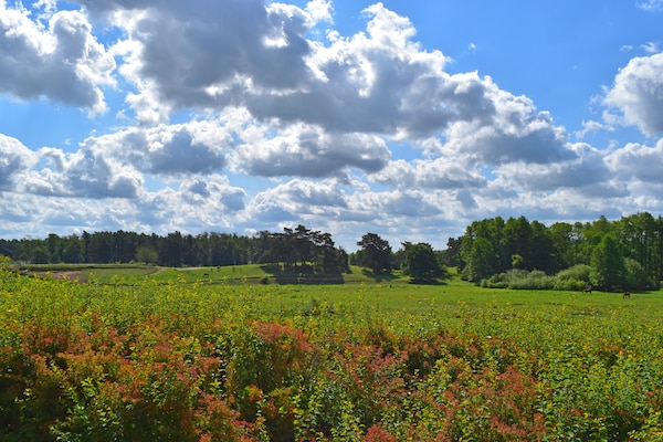 Foto van Rijtjeshuis Tulp in Lohmen - Vakantiehuis in Lohmen - AreaSummer1KM