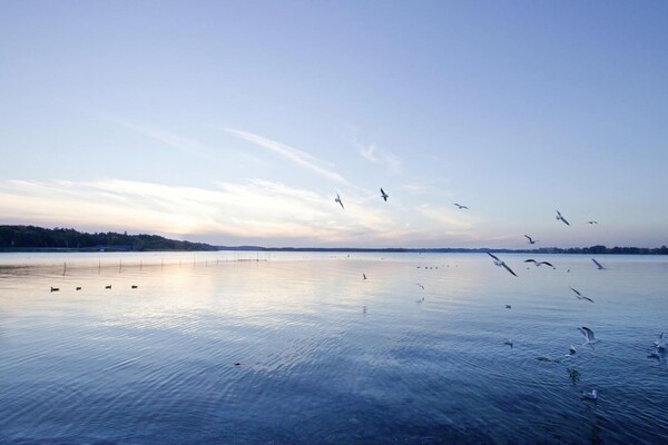 Foto van Appartementen in Maremuritz Yacht Harbour Resort - Vakantiehuis in Waren (Müritz) - AreaSummer1KM