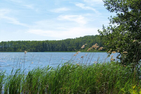 Foto van Rijtjeshuis met uitzicht op het meer, Sommersdorf - Vakantiehuis in Sommersdorf - WaterView