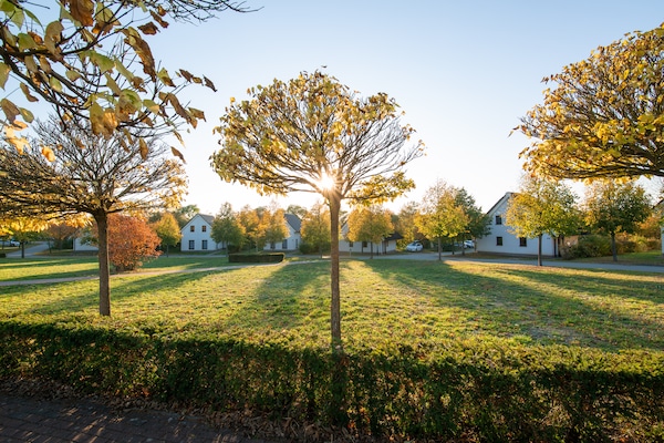 Foto van Vakantiehuis in het Van der Valk Resort Linstow - Vakantiehuis in Linstow - Outdoor