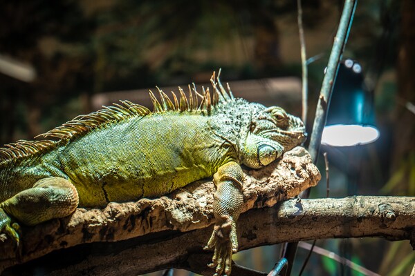 Foto van Appartementen in het recreatiepark Weissenhäuser Strand - AreaSummer1KM