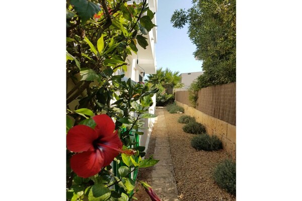 Foto van Appartement type C - Vakantiehuis in Cala Millor - GardenSummer