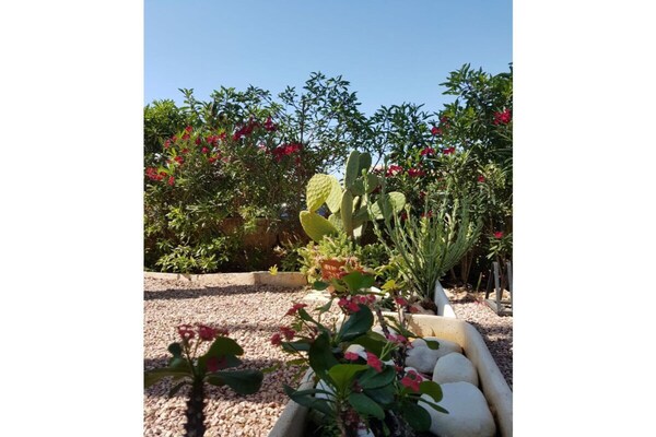 Foto van Appartement type C - Vakantiehuis in Cala Millor - GardenSummer