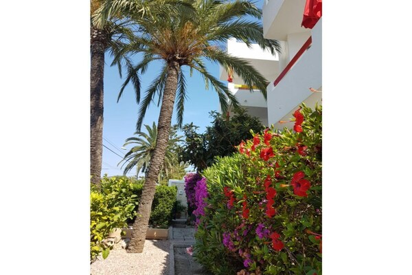 Foto van Appartement type C - Vakantiehuis in Cala Millor - ExteriorSummer