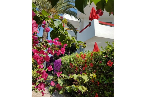 Foto van Appartement type C - Vakantiehuis in Cala Millor - ExteriorSummer