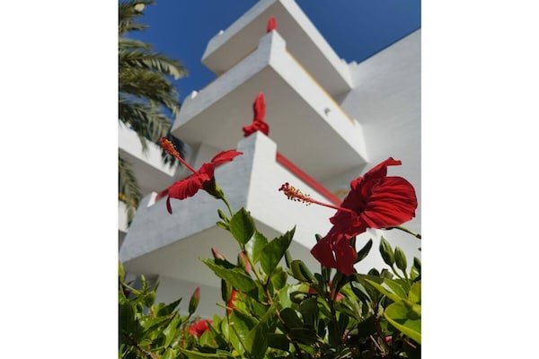 Foto van Appartement type C - Vakantiehuis in Cala Millor - ExteriorSummer