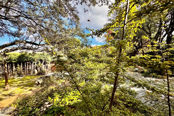 Foto van Appartement in Galapagar met tuin en zwembad - Vakantiehuis in Galapagar - AreaSummer1KM