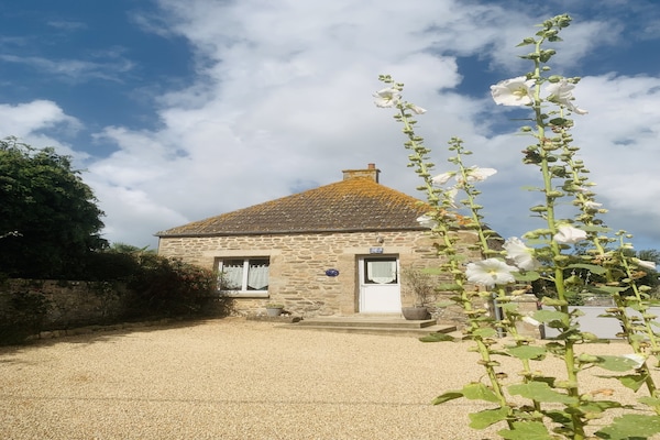 Foto van Vakantiehuis bij Normandische kust - Vakantiehuis in Cosqueville - ExteriorSummer