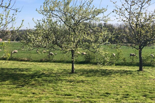 Foto van Charmant appartement in de Ardennen - Vakantiehuis in Signy-l’Abbaye - AreaSummer20KM