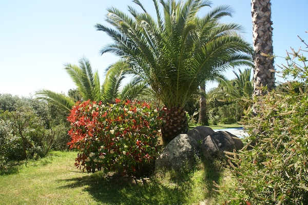 Foto van Ruime villa met zwembad - Vakantiehuis in St Andrea D'orcino - GardenSummer