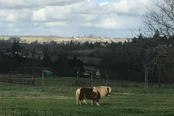 Foto van Charme en comfort in de Dordogne - Vakantiehuis in St. Medard D'excideuil - AreaSummer20KM