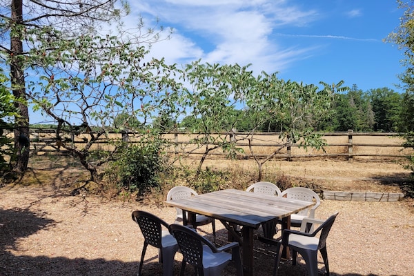 Foto van Authentiek landgoed in de Dordogne met zwembad. - Vakantiehuis in Saint-Saud-Lacoussière - GardenSummer