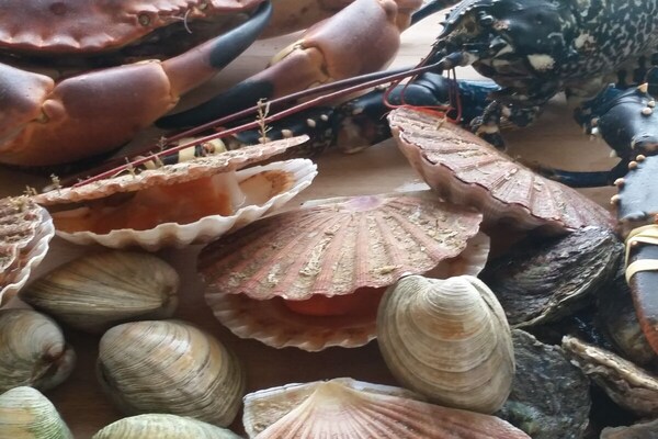 Foto van Avel Mor Comfortabele vakantiewoning - Vakantiehuis in Guisseny - Untagged