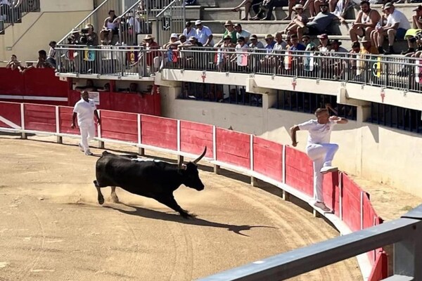 Foto van Gezellig appartement aan zee - Vakantiehuis in Le Grau-du-Roi - AreaSummer20KM