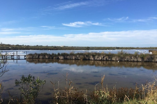Foto van Studio in Arcachon Baai met Uniek Ontwerp - Vakantiehuis in Le Teich - AreaSummer20KM