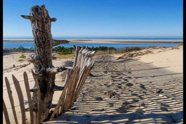 Foto van Stijlvolle kustontsnapping - Vakantiehuis in Le Teich - AreaSummer20KM