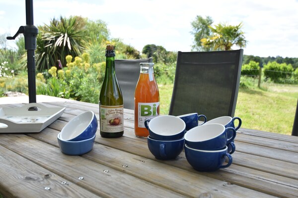 Foto van Prachtig herenhuis met omheinde tuin - Vakantiehuis in Baguer-Morvan - TerraceBalcony