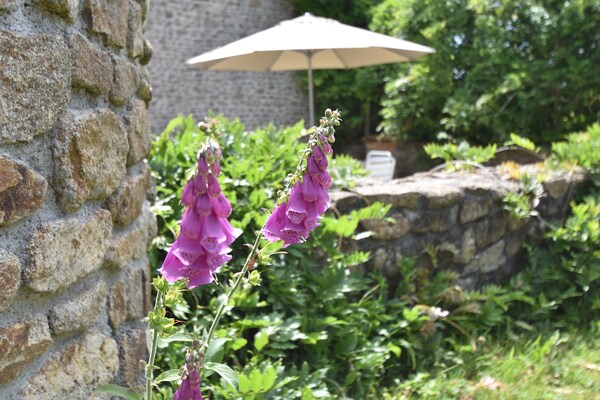 Foto van Prachtig herenhuis met omheinde tuin - Vakantiehuis in Baguer-Morvan - GardenSummer
