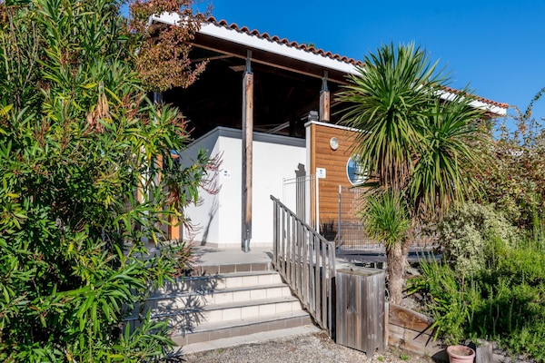 Foto van Bosverblijf voor 4 personen aan het meer - Vakantiehuis in Parentis-en-Born - ExteriorSummer