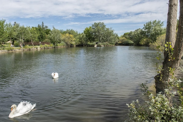 Foto van Provence-huis in de buurt van Avignon voor 4 personen - AreaSummer1KM