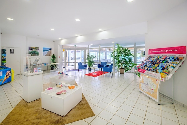 Foto van Appartement voor 3 personen met terras in Saumur - Vakantiehuis in Saumur - HallReception