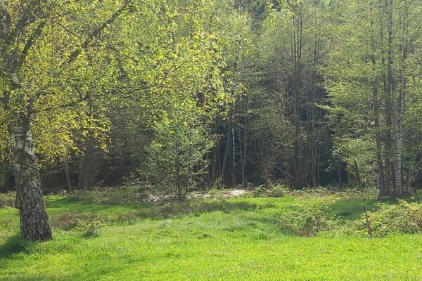 Foto van Rustig chalet met tuin - Vakantiehuis in Turquestein Blancrupt - AreaSummer20KM