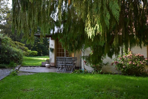 Foto van Vakantiehuis in mooie tuin met molen en vijver - Vakantiehuis in Le Ponchel - TerraceBalcony