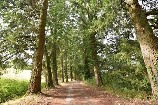 Foto van Landhuis in Cuzy met zwembad en uitzicht - Vakantiehuis in Cuzy - AreaSummer20KM
