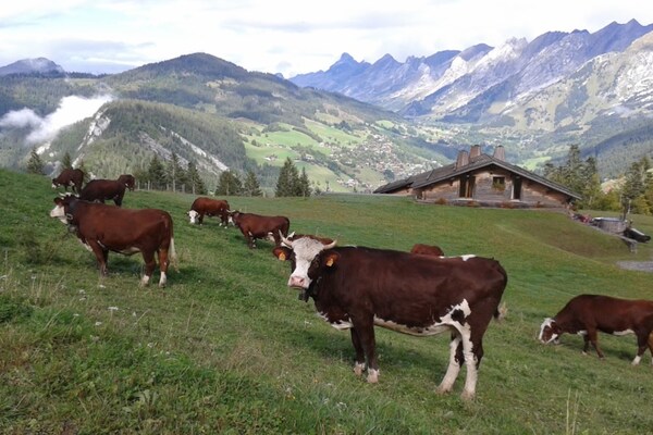 Foto van Chalet in Aravis met Uitzicht op Bergen - Vakantiehuis in LA CLUSAZ - AreaWinter5KM