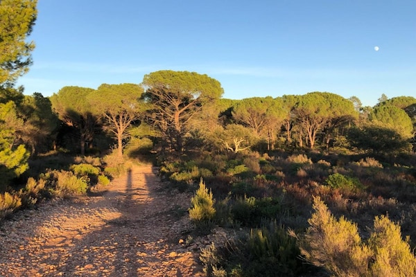 Foto van Villa in Vidauban bij Wijngaarden & Stranden - Vakantiehuis in Vidauban - AreaSummer20KM