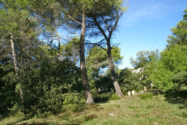 Foto van Villa in Crillon-le-Brave bij Mont Ventoux - Vakantiehuis in Crillon-le-Brave - GardenSummer