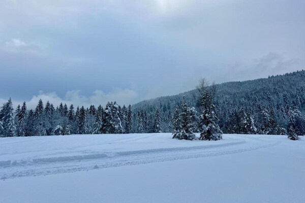 Foto van Chalet in Lotharingen bij Bos & Skilift - Vakantiehuis in La Bresse - AreaWinter20KM